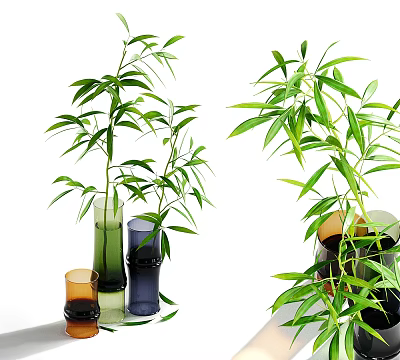 Decorative Colored Glass Vases With Green Bamboo Plants For Home Decor 3d model