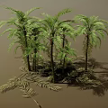 Palm Trees With Various Heights Featuring Green Leaves Trunks And Ground Shadows 3d model