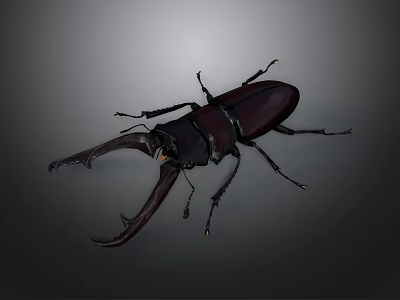 Stag Beetle With Large Mandibles And Dark Body On Dark Background 3d model
