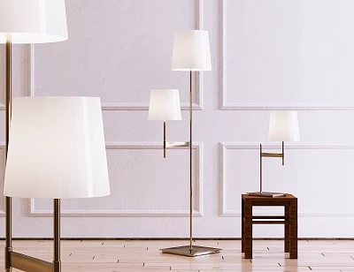 Modern Lamp Combinations In Interior Space With White Shades Floor And Table Lamps 3d model