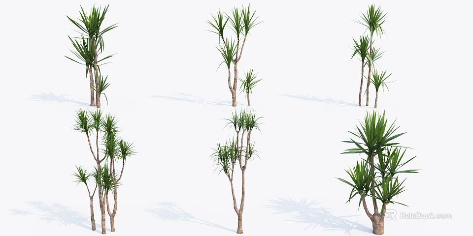 Green Shrub Varieties With Different Heights And Tropical Foliage For Landscaping 3d model 
