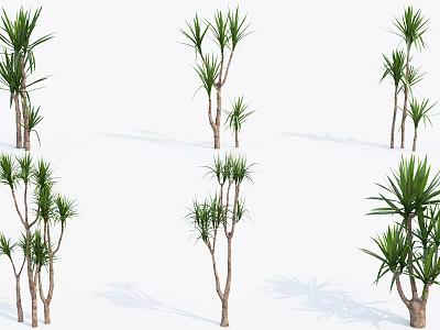 Green Shrub Varieties With Different Heights And Tropical Foliage For Landscaping 3d model