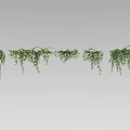 Lush Green Hanging Vines Arranged in Row for Decorative 3d model