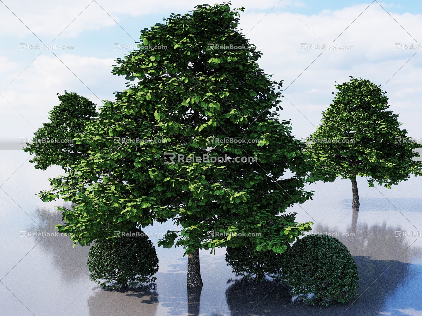 tree alder alder alder alder poplar garden tree landscape tree courtyard tree deciduous tree tree 3d model