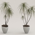 potted plant 3d model