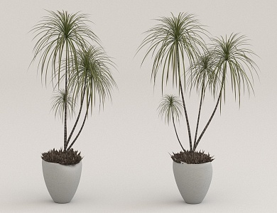 potted plant 3d model