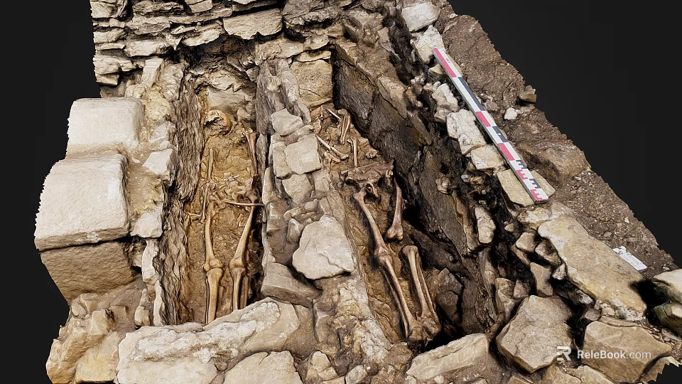 Archaeological Excavation Site Featuring Ancient Human Skeletons Stone Structure And Measuring Tape 3d model 