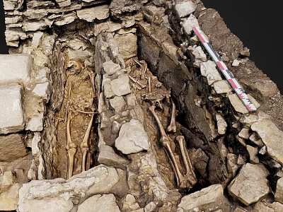 Archaeological Excavation Site Featuring Ancient Human Skeletons Stone Structure And Measuring Tape 3d model