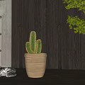 Cactus Potted Plant in Beige Ceramic Pot with Lying Cat Floor Lamp and Wooden Wall