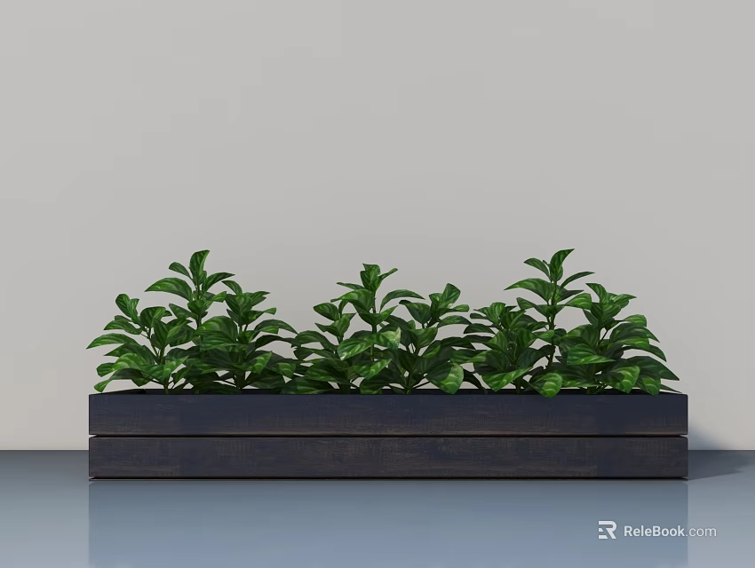 Lush Green Potted Plants In Dark Rectangular Wooden Planter With Light Wall 3d model