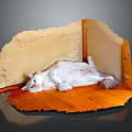 White Cat Lying Comfortably on Light Brown and Orange Platform with Gray Background