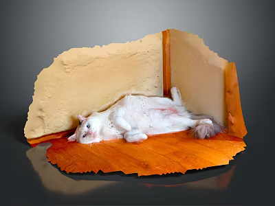 Modern Cat White Cat Persian Cat Kitten 3d model