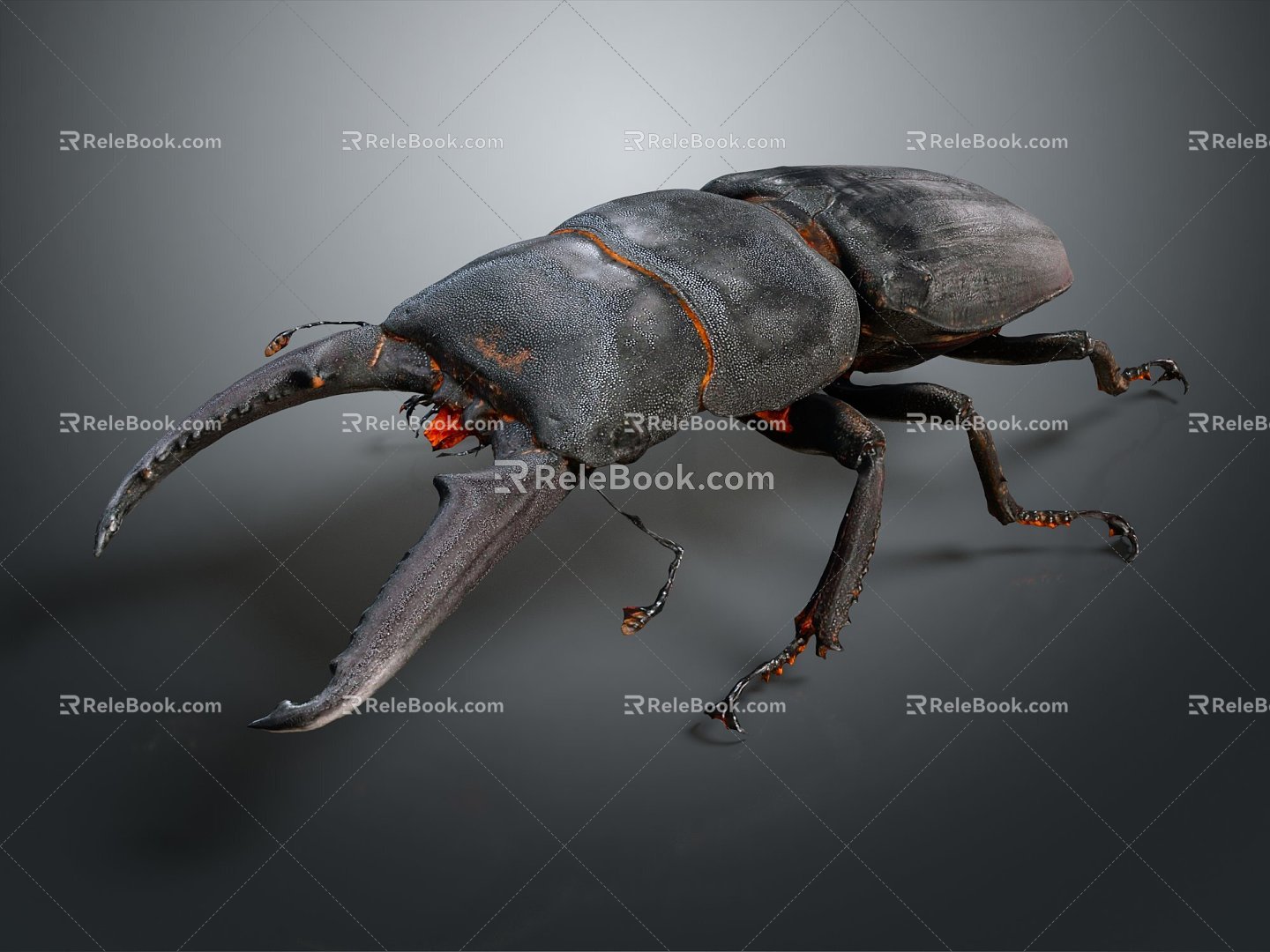 Modern Beetle Beetle Beetles Dung Beetles Scarab 3d model