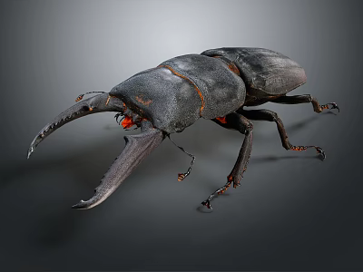 Stag Beetle As Flying Insect With Large Mandibles Black Exoskeleton And Red Eyes Close Up View 3d model