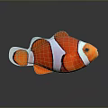 Orange And White Clownfish With Black Stripes On Gray Background With Reflection 3d model