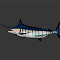 Blue Marlin Aquatic Animal With Colorful Striped Body Realistic 3D Rendering Isolated Dark Background