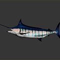 Modern northern bluefin tuna albacore tuna yellowfin tuna 3d model