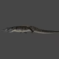 Realistic Crocodile 3D Model With Detailed Skin Texture And Natural Posture
