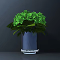 Green Hydrangea Flowers In Dark Blue Vase On Gray Surface With Dark Background