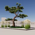 New Chinese style landscape sketch pine landscape tree withered landscape background Pohan pine shape pine welcome pine 3d model