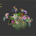 Fresh Potted Plant With Pink And White Flowers And Green Leaves