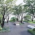 Park Landscape With Lush Trees Paved Stone Pathway Stone Benches Trimmed Bushes And Purple Flowers