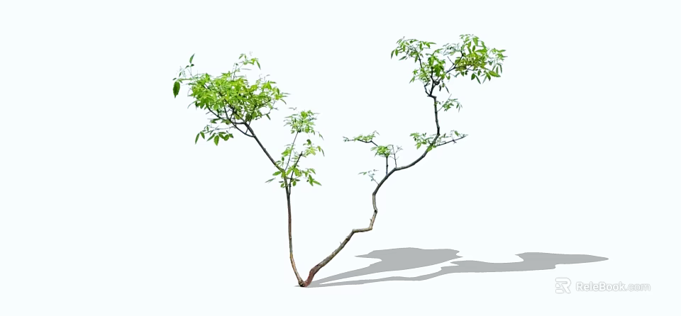 Arbor With Lush Green Leaves And Curved Branches Casting Shadow 3d model