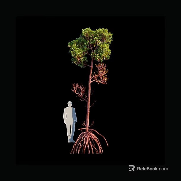 Arbor Featuring Visible Roots Green Upper Foliage And Withered Lower Branches With Human Silhouette 3d model