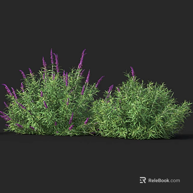 Lush Green Plants With Vibrant Purple Lavender Flowers In Natural Arrangement 3d model 