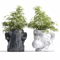 Bonsai Potted Plants in White and Black Monkey Head Shaped Planters with Green Leaves