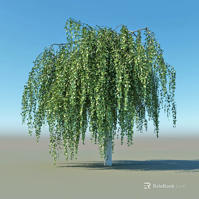 Weeping Willow Tree With Hanging Branches And Green Leaves Against Blue Sky And Gray Ground 3d model 