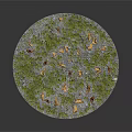 Green Grass With Yellow Fallen Leaves On Circular Landscape Surface