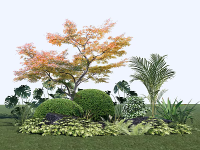 Vibrant Garden With Orange Leaf Tree Palm Monstera Rounded Shrubs And Ferns 3d model