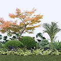 Vibrant Garden With Orange Leaf Tree Palm Monstera Rounded Shrubs And Ferns
