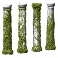 White Roman Columns Covered with Lush Green Climbing Vines and Fresh Leaves