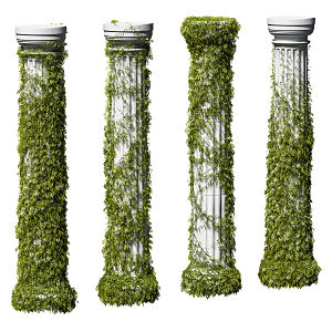 Pillars Climbing Vines 3d model