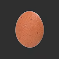 Fresh Brown Egg With Speckled Shell Isolated on Dark Background