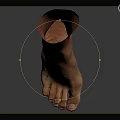 Realistic 3D Model of Human Foot and Ankle on Gray Background with Reflection