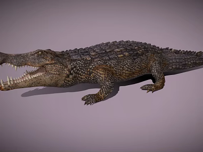 Detailed Crocodile 3D Model With Open Mouth And Scaly Skin 3d model