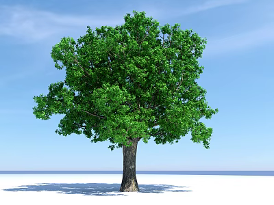 Modern Tree Big Tree 3d model