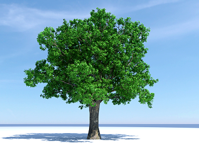 Modern Tree Big Tree 3d model