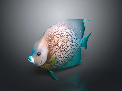Vibrant Spotted Angelfish With Blue Fins And Brown Body In Aquarium 3d model