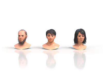 Three Realistic Male Head Models With Different Hairstyles On White Background 3d model