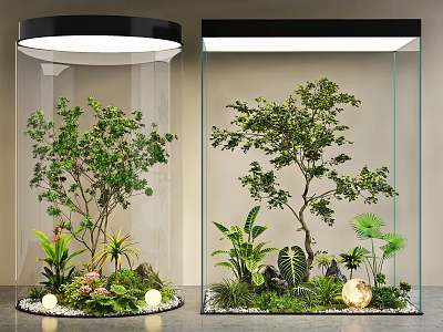 Indoor Landscape With Glass Enclosures Trees Various Plants And Decorative Stones 3d model