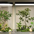 Indoor Landscape With Glass Enclosures Trees Various Plants And Decorative Stones