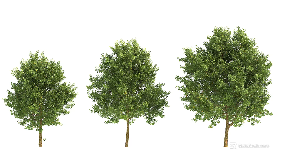 Three Arbor Trees With Green Foliage And Brown Trunks In Row 3d model