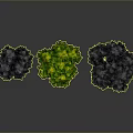 Three Green Trees In Different Sizes With Reflections On Black Background