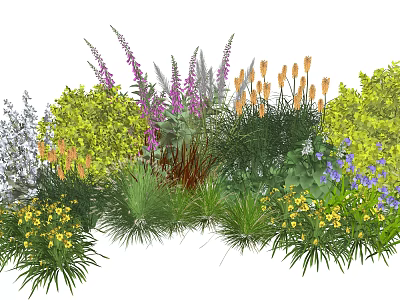 Vibrant Plant Combination With Purple Flowers Orange Blooms Yellow Small Flowers And Green Foliage 3d model