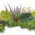 Vibrant Plant Combination With Purple Flowers Orange Blooms Yellow Small Flowers And Green Foliage