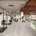 Modern Clothing Store Interior With Open Space Clothing Racks And Plants